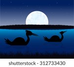 The Night landscape with water and bird.Vector illustration