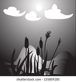 night landscapes with cane and grass 