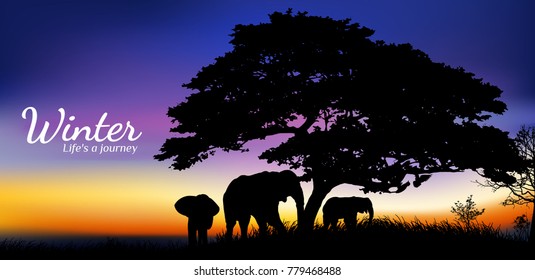 Night landscape.silhouette of tree,Twilight of nature.