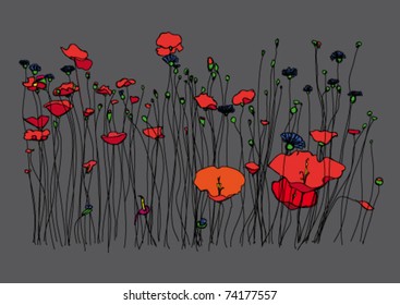 Night meadow.
