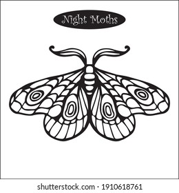 night moth, abstract vector graphics, black and white drawing, stylized, linear, coloring book