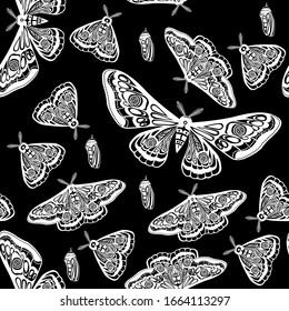 Night moth, butterfly pupa. Vector illustration. Seamless pattern.