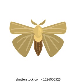 Night moth color vector icon. Flat design