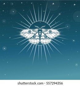 Night moth. Esoteric symbol. A background - the night star sky. Vector illustration. Print, posters, t-shirt, card. 