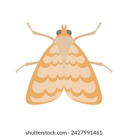 Night moth insect flat style vector illustration