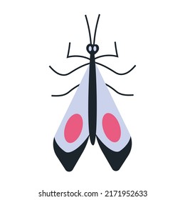 Night moth, insect with wings, cartoon style. Trendy modern vector illustration isolated on white background, hand drawn, flat design.