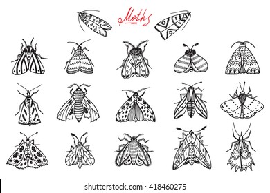 Night moths. Hand drawn doodle moth vector set