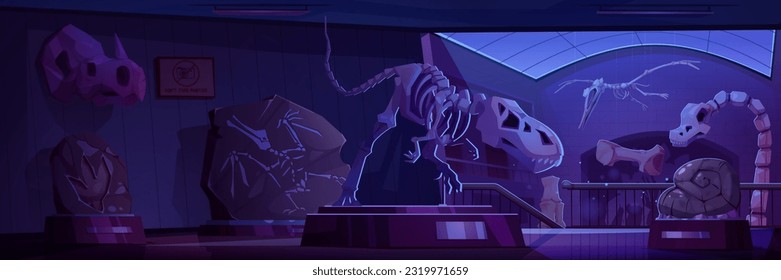 Night museum room with dinosaur skeletons and fossil stones. Vector cartoon illustration of archeology exhibits on stands, ancient rocks with prehistoric animal imprints, dino skulls and bones