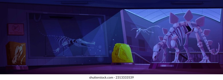 Night museum room with fossil dinosaur skeleton cartoon vector background. Jurassic paleontology exhibit gallery interior of triceratops and pterodactyl skull with bone and moonlight from window