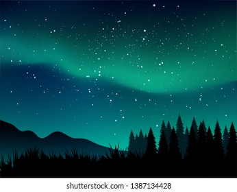 night nature landscape with aurora