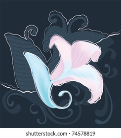 the night orchid
