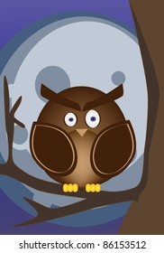 Night Owl
