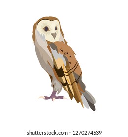 Night owl illustration. Bird, big, night hunter. Nature life concept. Vector illustration can be used for topics like nature, animal world, encyclopedia