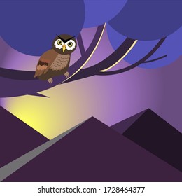Night. Owl on a tree. Vector illustration 