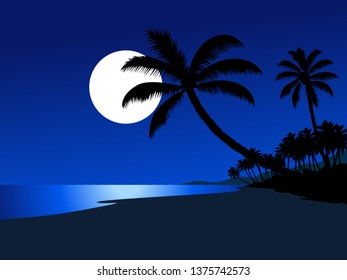 night scene at beach