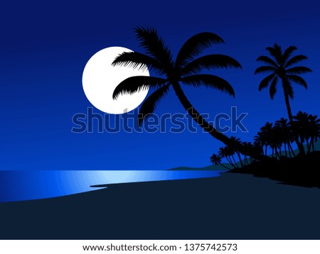 night scene at beach