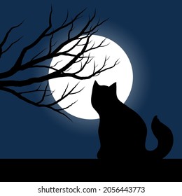 Night scene with cat and moon and trees in silhouette