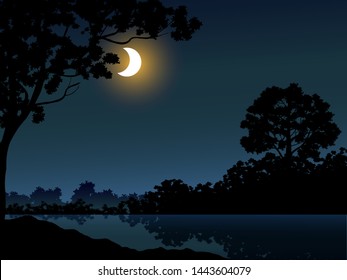 night scene in forest with moonlight