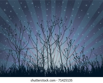 Imagen de la naturaleza de la escena nocturna