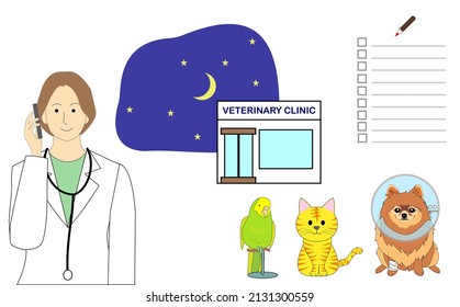 Night scene of veterinarian clinic with a tabby cat in an Elizabethan collar, pomeranian dog, a budgerigar, and a checklist