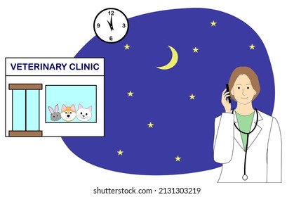 Night scene of veterinarian clinic with a tabby cat in an Elizabethan collar, toy poodle and 