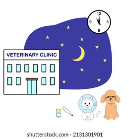 Night scene of veterinarian clinic with a white cat in an Elizabethan collar, toy poodle, and medications
