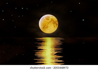 Night seascape with a marine background. Reflection of the moon in the night water. Vector illustration 