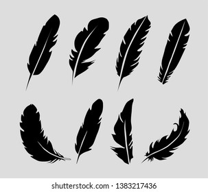 night set of black feathers