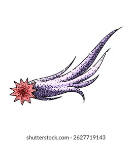 night shooting star hand drawn. sky observation, streak light, wish trail night shooting star vector sketch. isolated color illustration