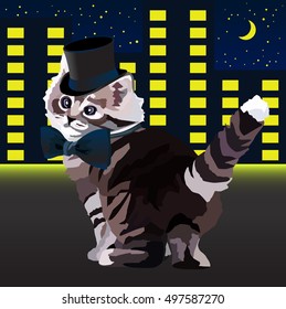 Night Show Cat