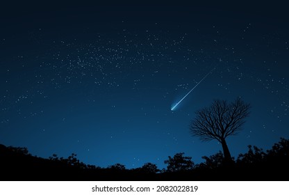 Night sky background with stars, shooting star, and tree silhouette