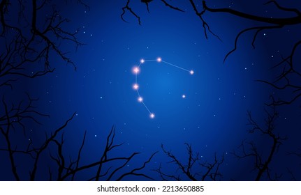 Night sky behind the croocked branches. Bright constellation in dark space. Vector illustration Corona Australis constellation