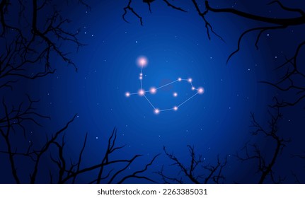 Night sky behind the croocked branches. Bright constellation in dark space. Vector illustration Pavo constellation