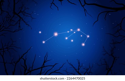 Night sky behind the croocked branches. Bright constellation in dark space. Vector illustration Sculptor constellation