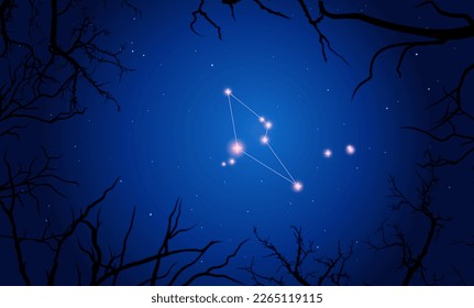 Cielo nocturno detrás de las ramas torcidas. Constelación brillante en el espacio oscuro. Ilustración vectorial Constelación de reticulum