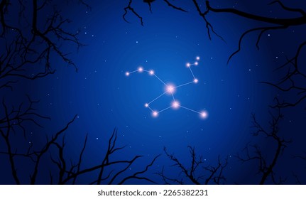 Night sky behind the croocked branches. Bright constellation in dark space. Vector illustration Lepus constellation