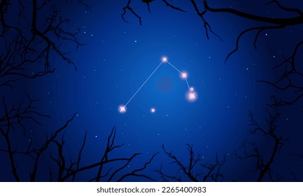 Night sky behind the croocked branches. Bright constellation in dark space. Vector illustration Microscopium constellation