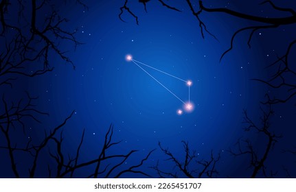 Cielo nocturno detrás de las ramas torcidas. Constelación brillante en el espacio oscuro. Ilustración vectorial Constelación de octanos