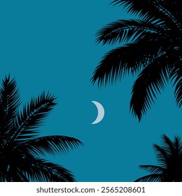 Night sky with coconut trees