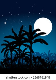 night sky with moon and banana trees