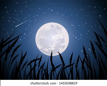 night sky with moonlight and stars illustration