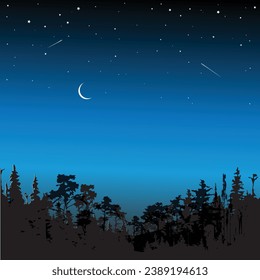 night sky with moon,night, sky, moon, tree, star, stars, landscape, nature, dark, blue, silhouette, light, space, vector, illustration, forest, christmas, water, moonlight, trees, lake, sunset, astron