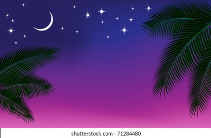 Night sky and a palm branch. Vector illustration.