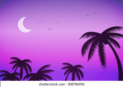 Night sky and silhouette of palm trees