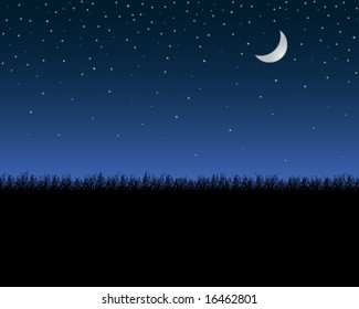 night sky with stars above grass