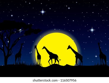 night sky with stars and full Moon in safari, vector illustration