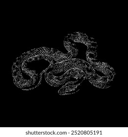 night snake hand drawing vector isolated on black background.
