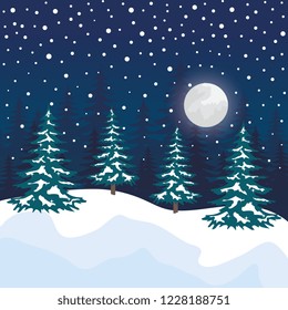 night snowscape field scene