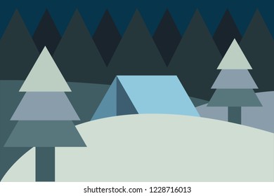 Night and snowy landscape.