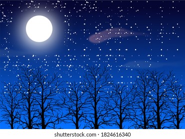 Cielo estrellado nocturno sobre el bosque. Gráficos vectoriales.